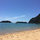 Flavia Timiani-Dean