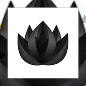 Black Lotus Venturesさんの写真