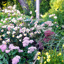 Garden/plants and things