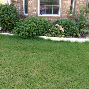 Eco Friendly Lawn & Landscapes