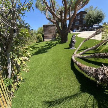 Artificial Turf and Concrete Walkway