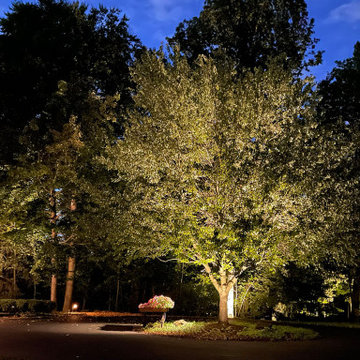 Downlighting