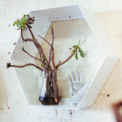 Hive Shelving - Products