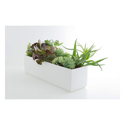Gift Ideas - Indoor Pots And Planters