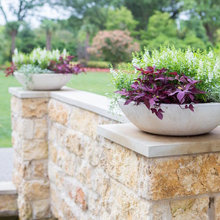 Plant Containers