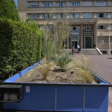 Une exposition temporaire à la Cité universitaire de Paris