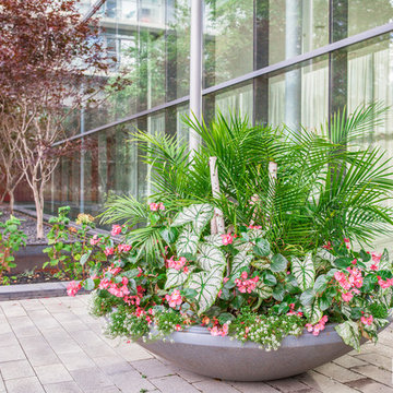 Condominium Courtyard Video Tour - Greater Toronto Area
