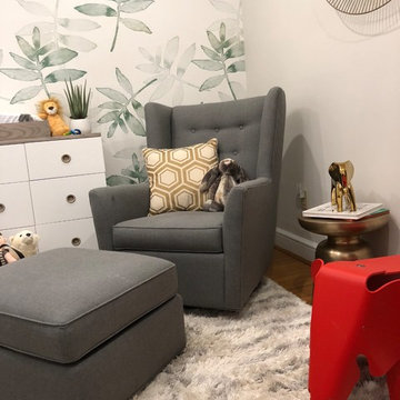 Whimsical Boy's Nursery in Arlington, VA