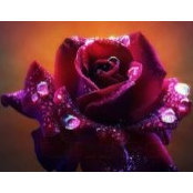 Sandy Maloney's photo