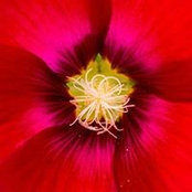 Photo de Eva Tenney