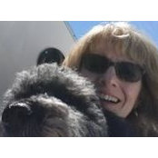 Julie McCarty's photo