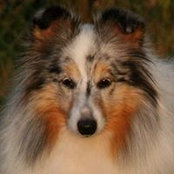 Ingrid Petermanns foto