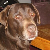 Matt Reger's photo