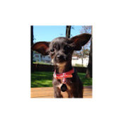 Steven Smith's photo