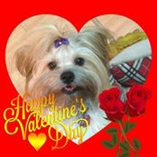Claude Vaillancourt's photo
