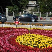 Mioara Mincu's photo