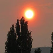 Reta Kutsche's photo
