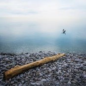 Ania Wachowska's photo