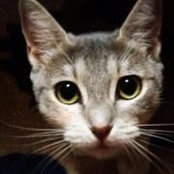 Holly Maxwell's photo