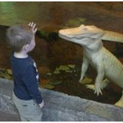 Thomas White's photo
