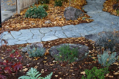Photo of a farmhouse landscaping in Austin.