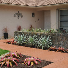 Cordova front yard Landscape