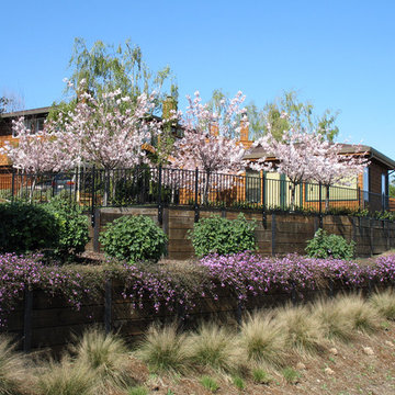 Bay Vista