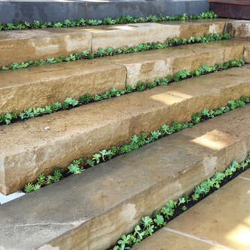 Limestone Steps and Succulents