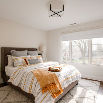 Whole House Renovation in Glenview