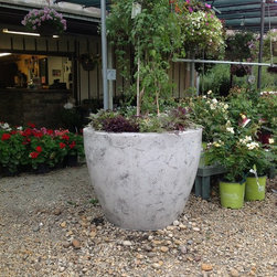 Large Concrete Drum Planters - Indoor Pots And Planters