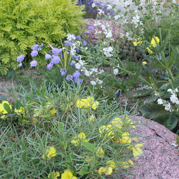 Fun, Flowers, & Food at El Rancho Calypso