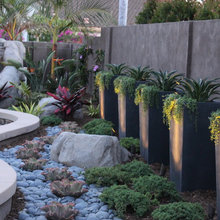 Selected Plants