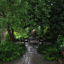 Holly Landscaping