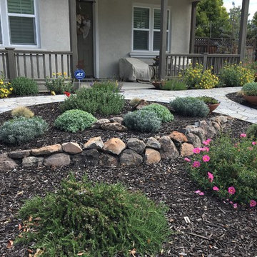 Mediterranean Mix Sunny Corner Yard