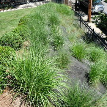 Metropolitan Slope Design - South Boston
