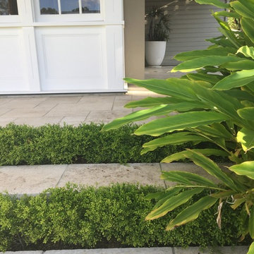 Toowong Garden