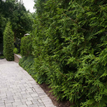 Gated Metropolitan Seclusion