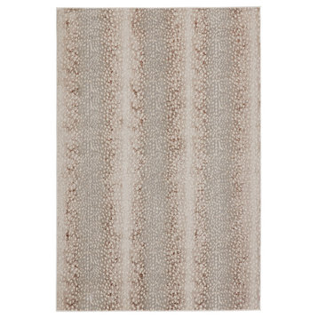 Jaipur Catalyst Axis Cty14 Rug, Light Gray and Brown, 6'7"x9'6"
