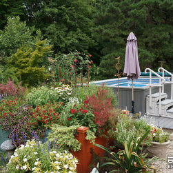 Original Endless Pools&reg; - Products