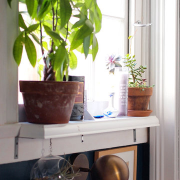 My Houzz: Nature-Inspired Home for Work and Play in New Orleans