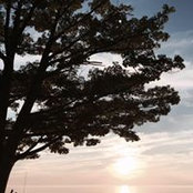 Natalie Corlis's photo