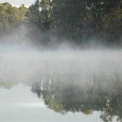 Robin Marston's photo