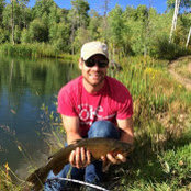 Tyler Hamilton's photo