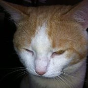 Carmen Midence's photo