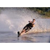 Tino Scarpetta's photo