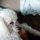 Kathy Denise Shultz