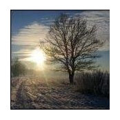 Kent Jones's photo