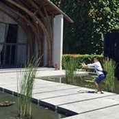 Joe Taniguchi's photo