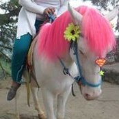 Foto de Darling Donio

