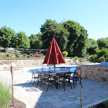 Complete Backyard Remodel